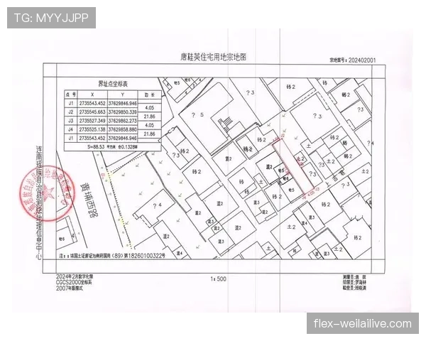 界外判定规则要点:出界标准与掷界权判定 界外判定规则要点:出界标准与掷界权判定